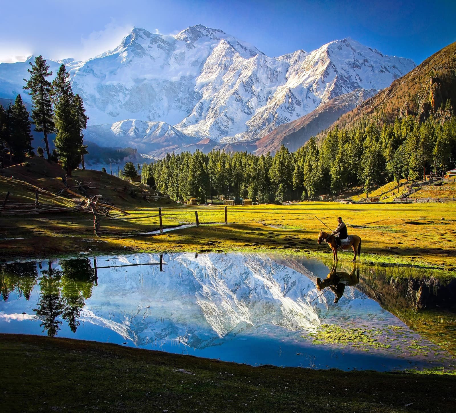 Fairy Meadows plateau beneath Nanga Parbat